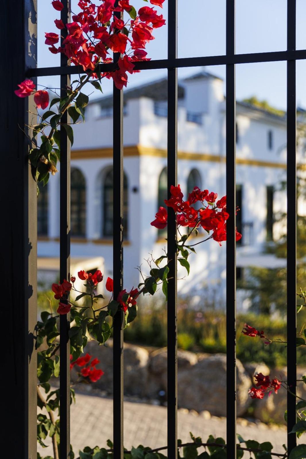 Finca Las Pecas Zambra Esterno foto